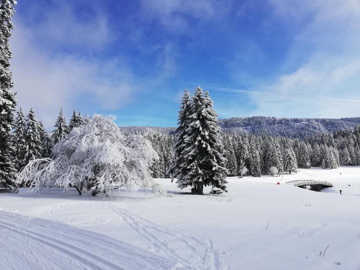 Ferme Des Deux Freres, Autrans, Vercors 외부 사진